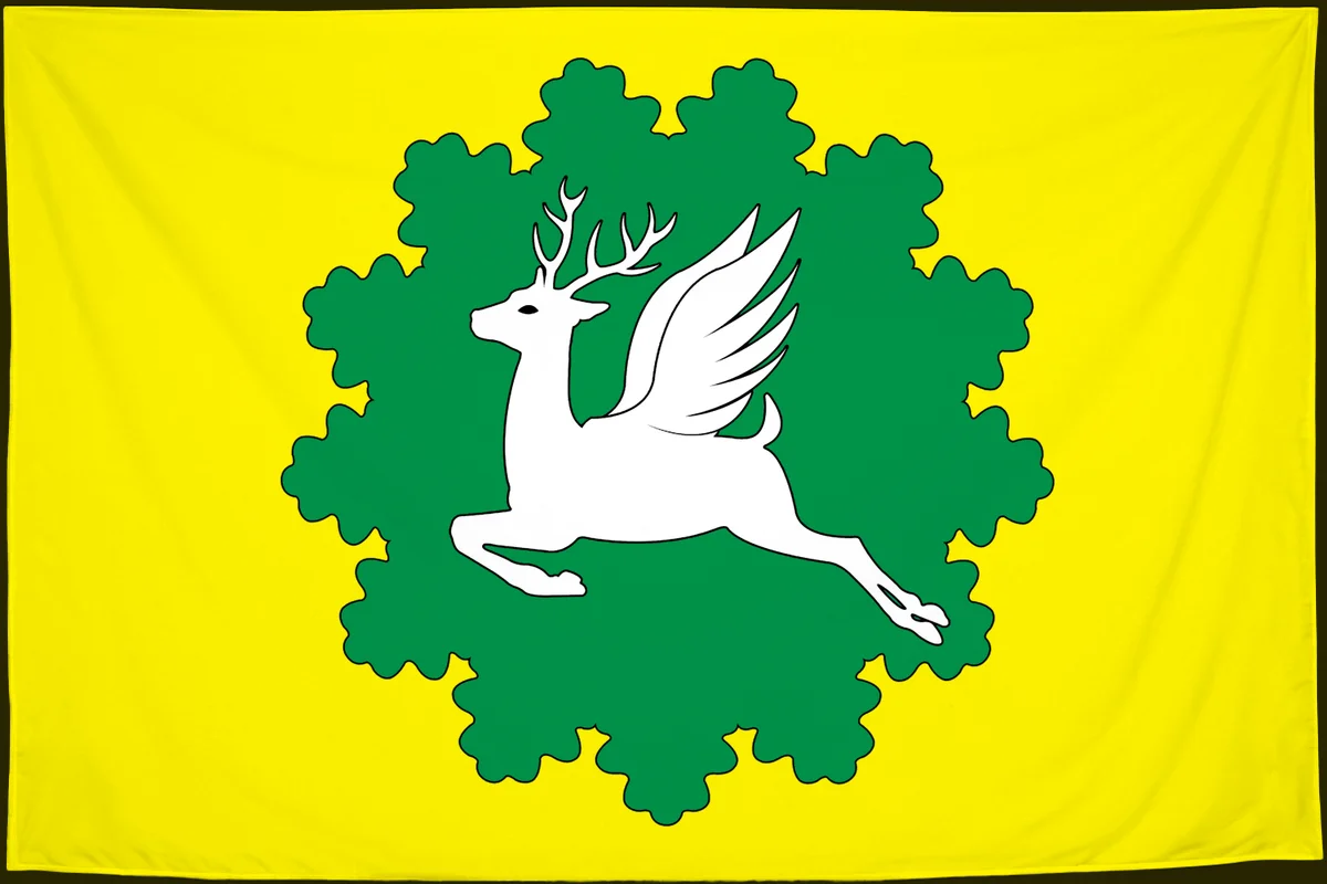 Флаг: Ибресинский муниципальный округ